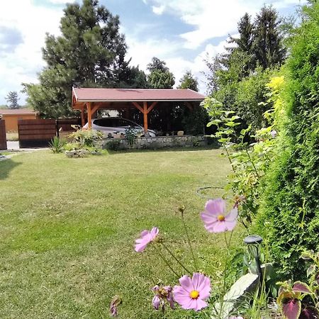 Sophia Cozy Self Catering Apartment Dolni Brezany Экстерьер фото