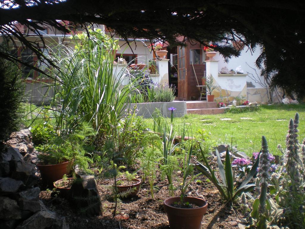 Sophia Cozy Self Catering Apartment Dolni Brezany Экстерьер фото