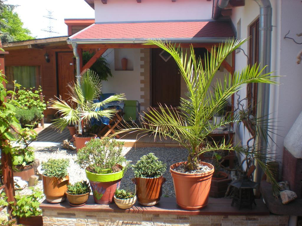 Sophia Cozy Self Catering Apartment Dolni Brezany Экстерьер фото