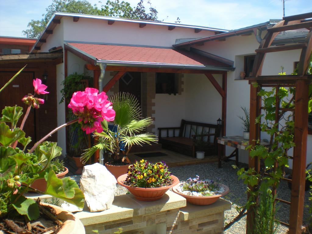 Sophia Cozy Self Catering Apartment Dolni Brezany Экстерьер фото