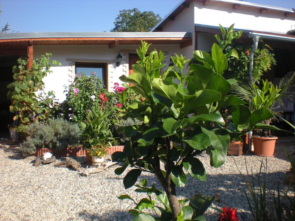 Sophia Cozy Self Catering Apartment Dolni Brezany Экстерьер фото