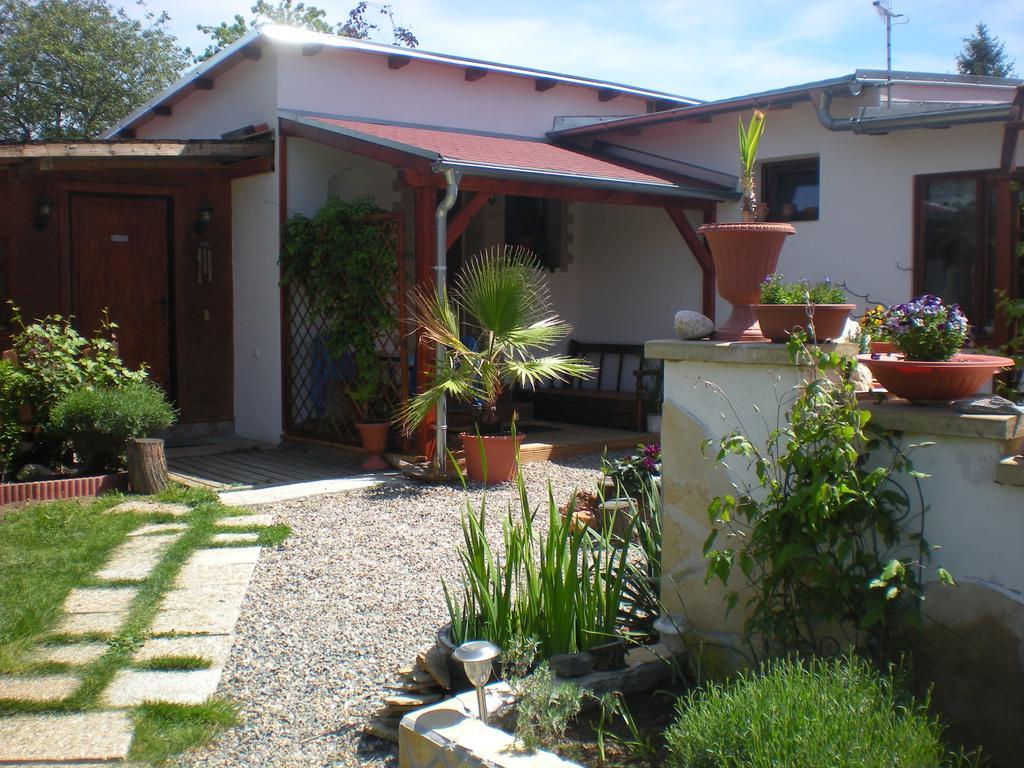 Sophia Cozy Self Catering Apartment Dolni Brezany Экстерьер фото