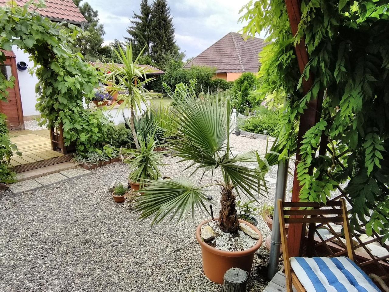 Sophia Cozy Self Catering Apartment Dolni Brezany Экстерьер фото